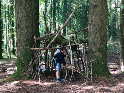Walduntesrschlupf bauen